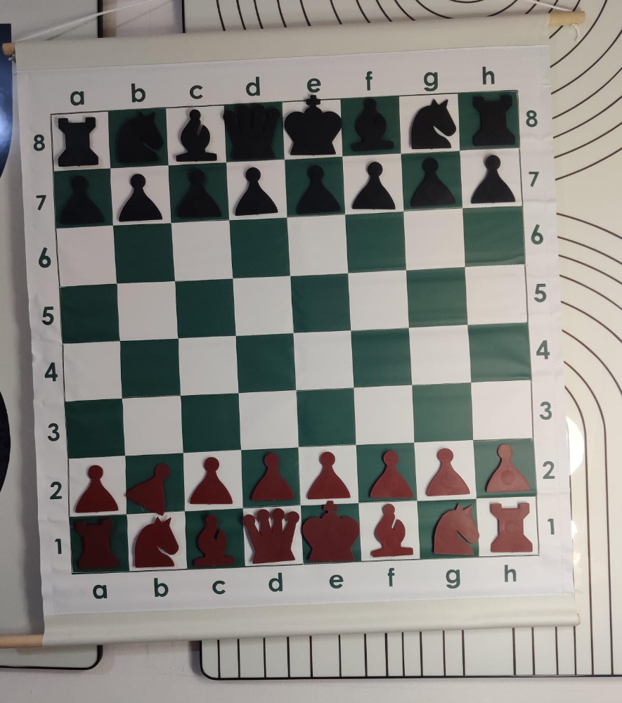 Magnetic Chess Demonstration Set